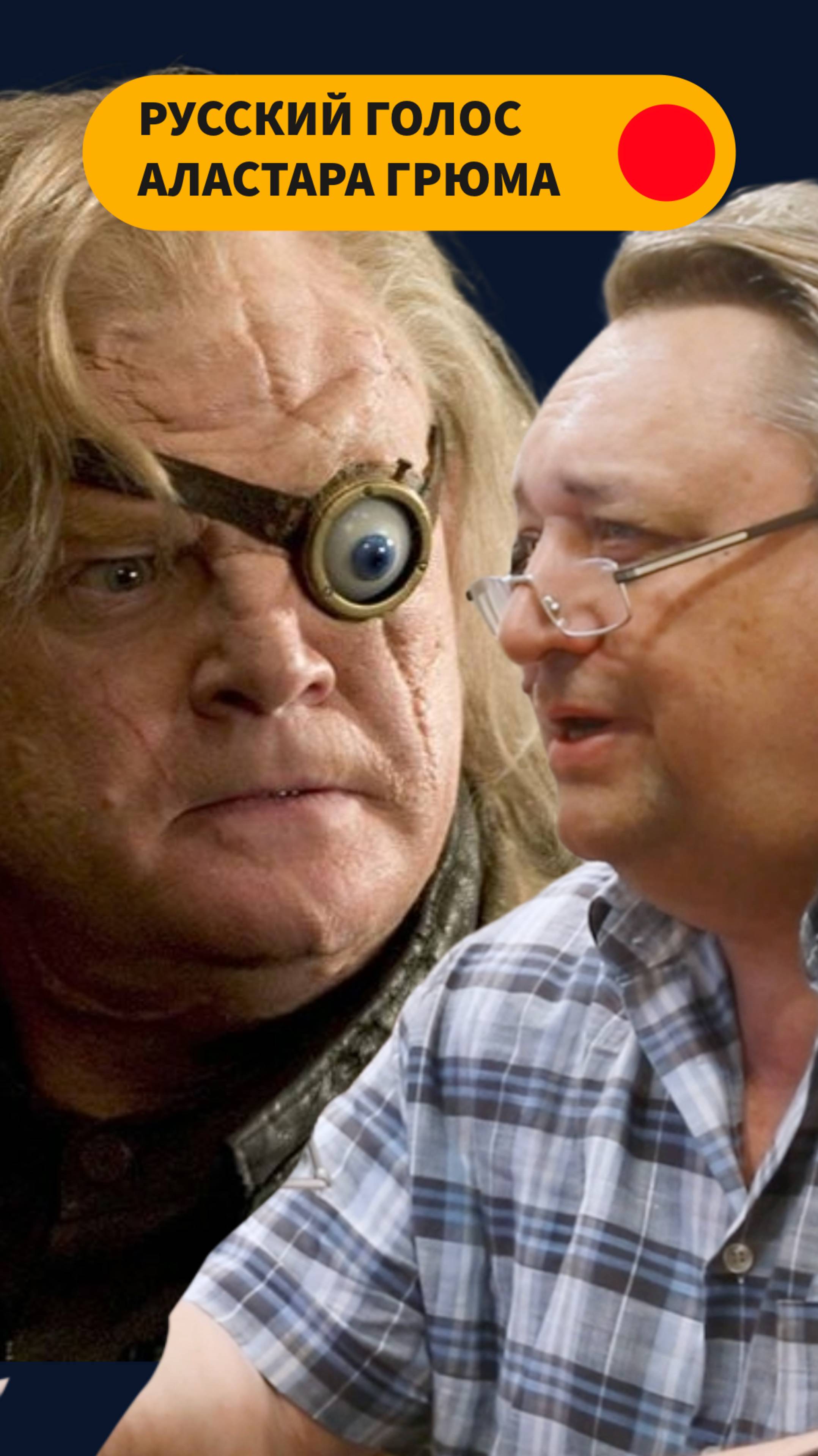 КТО ОЗВУЧИВАЕТ ГАРРИ ПОТТЕРА НА РУССКОМ? АЛЕКСАНДР КЛЮКВИН смотреть онлайн