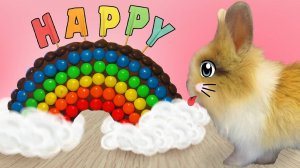 Готовим торт из M&M’s и шоколада! 🎂🍬 Волшебный десерт в домашних условиях