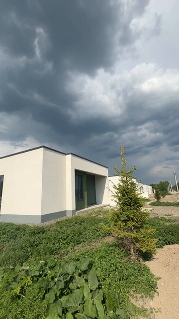 Береза Хутор