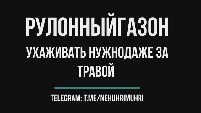 рулонный газон ухаживать нужно даже за травой смотреть онлайн