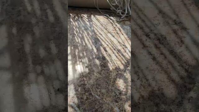 👋😊☕👋 смотреть онлайн