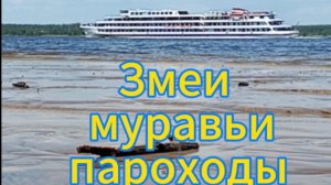 Спуск к Волге. Чебоксары мкр.Новый город. Поход на природу.