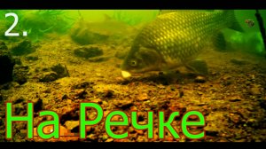 РЫБАЛКА на Речке на поплавок. Насадка Хлеб. Fishing