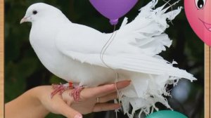 Мультики для детей. Мультфильмы для малышей .