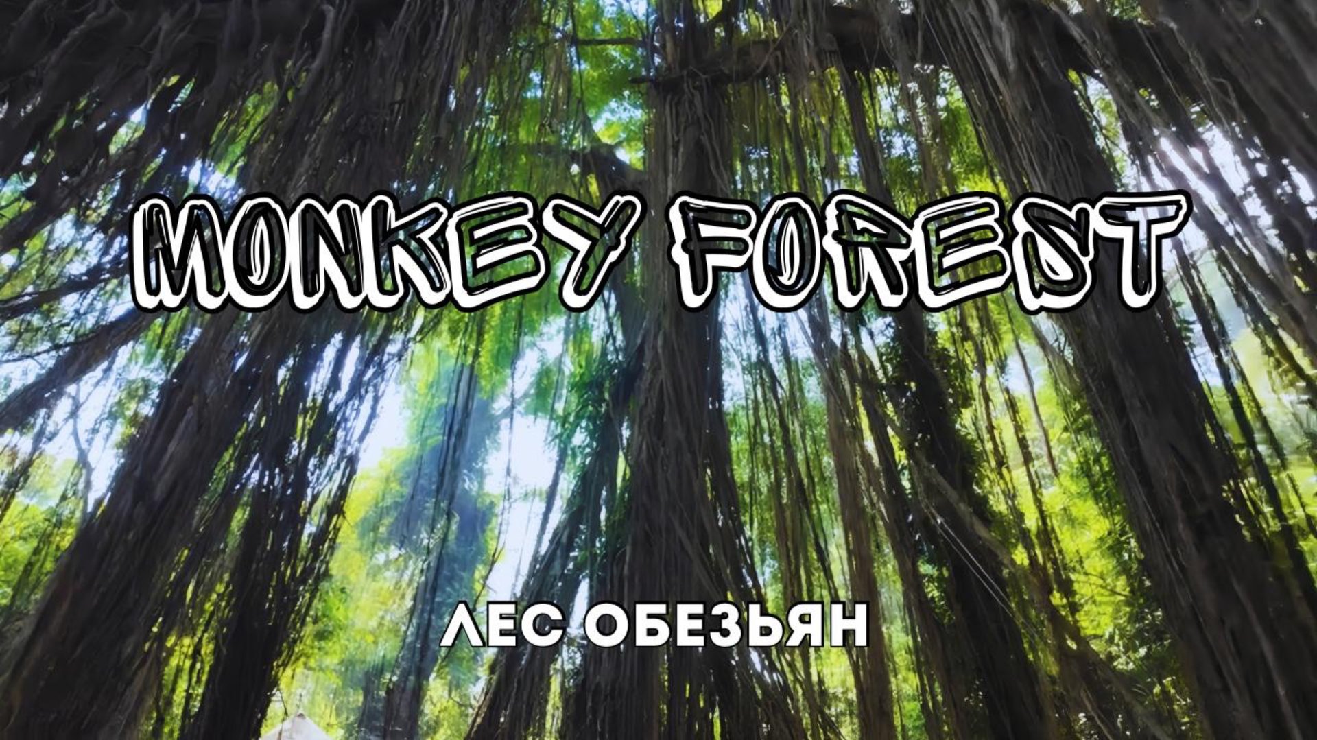 БАЛИ | Ира улетает в Бангкок | Новый гестхаус | Лес обезьян/Monkey Forest и еда для местных | ВЛОГ