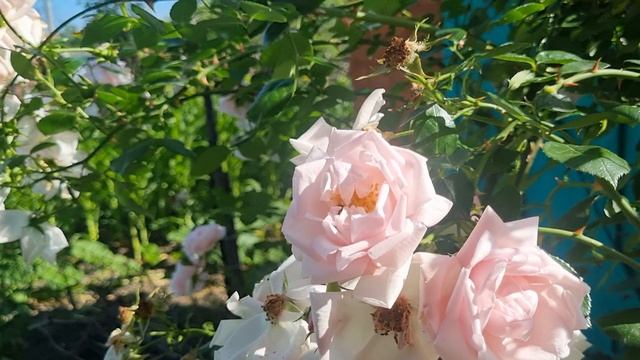 Вот такой у нас четверг! смотреть онлайн