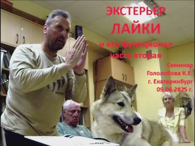 Семинар. Часть 2. Экстерьер лайки и его функционал. Гололобов К.Е. г. Екатеринбург, 09.06.2025 г смотреть онлайн