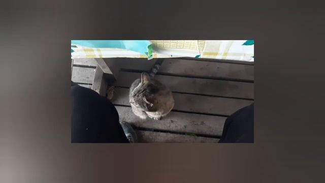 Рыбалка Краснодар ст. Старовеличковская  река Понура.