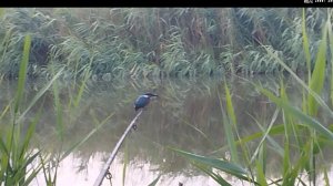 4 серия. Сутки на рыбалке.