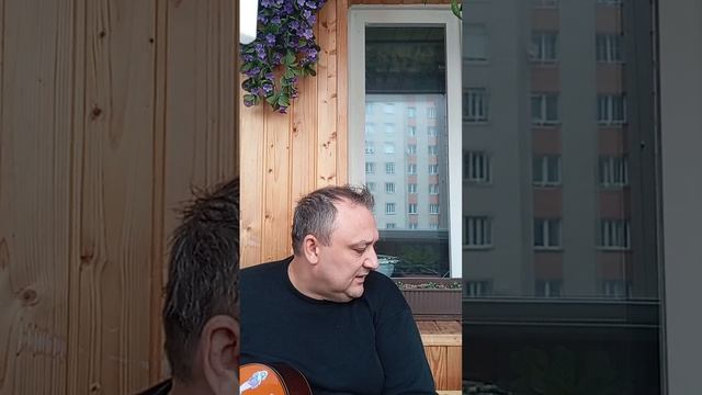 "Кот и раки" 🐱🦞💘 смотреть онлайн