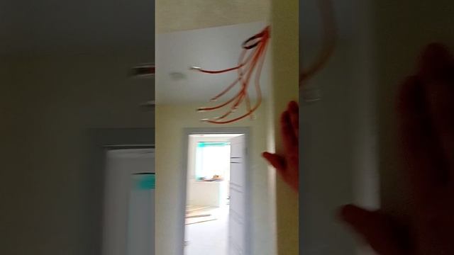 Советы по ремонту. Принимаем поклейку обоев