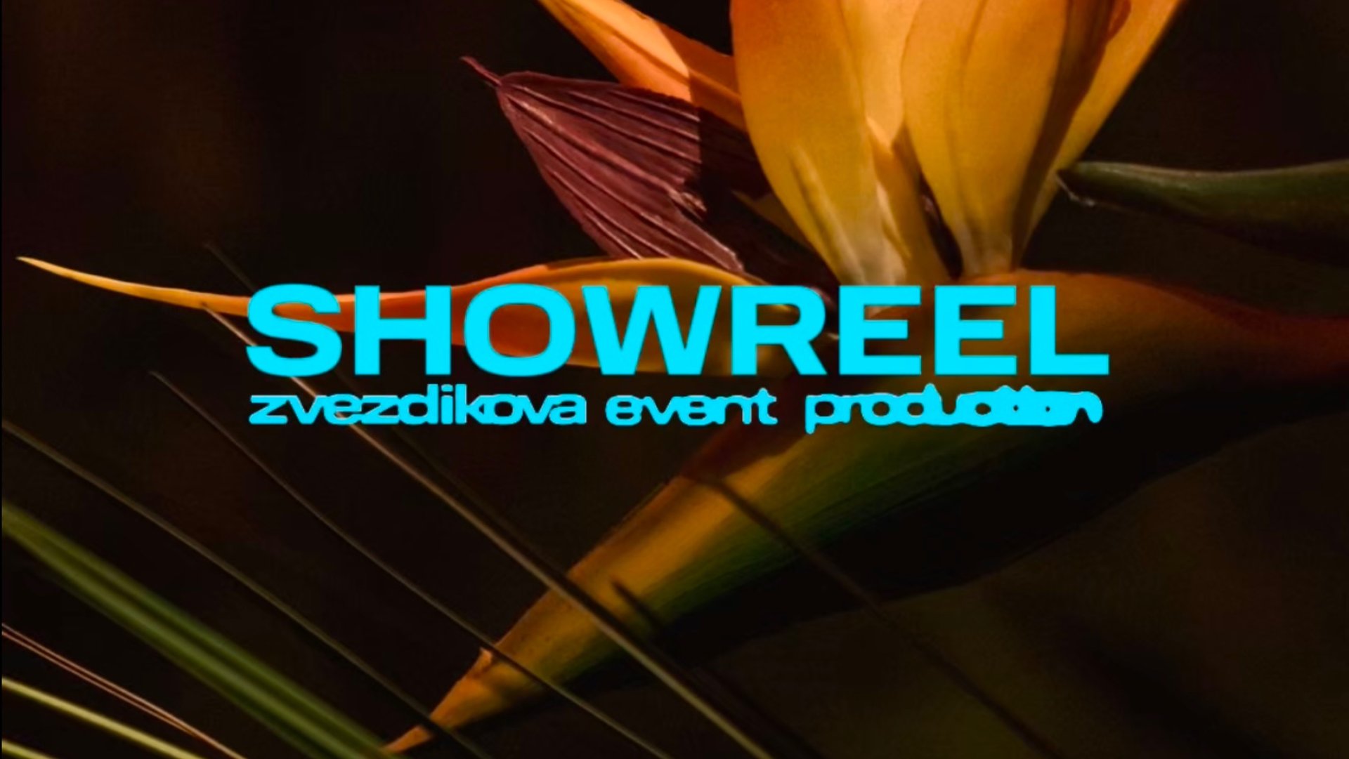 SHOWREEL смотреть онлайн