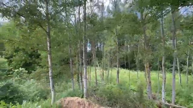 ЗУ :1768 д. Жуково смотреть онлайн
