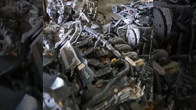 1000271921.mp4 bp смотреть онлайн