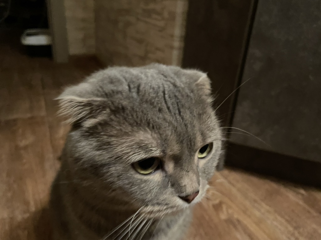 Гибка смотреть онлайн