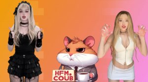 HFM COUB BEST CUBE Coub Приколы 2025 entertainment show, video collection from all over the world