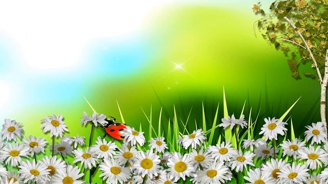 Я В РОМАШКАХ УТОПАЮ-сл Надежда Шаметова музыка испол Ирена Шемис баян смотреть онлайн