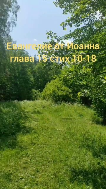 (64) Евангелие от Иоанна глава 15 стих 10-18 смотреть онлайн
