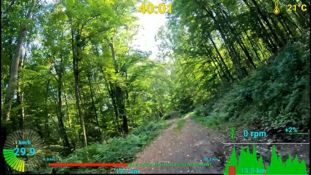 Видео для велотренажёра - MTB Trail Indoor Cycling Workout Telemetry Ultra HD Video смотреть онлайн