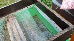 Облёт в магазине над семьёй