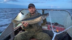 На какие воблеры клюет судак летом на Ладоге? | Ловля судака на троллинг в июле 2022