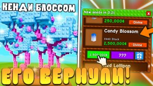 😱СРОЧНО! КЕНДИ БЛОССОМ ВЕРНУТ УЖЕ ЗАВТРА В Grow a Garden в Роблокс! Candy Blossom в вырасти сад