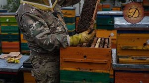 ОТВОДКИ. РАБОТА