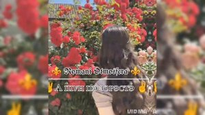 новая 👑 цыганыская  песня-2025 г для настроения ⚔️  её ищут вся маладёж ⚜️  ( жал и шеи пала паи)