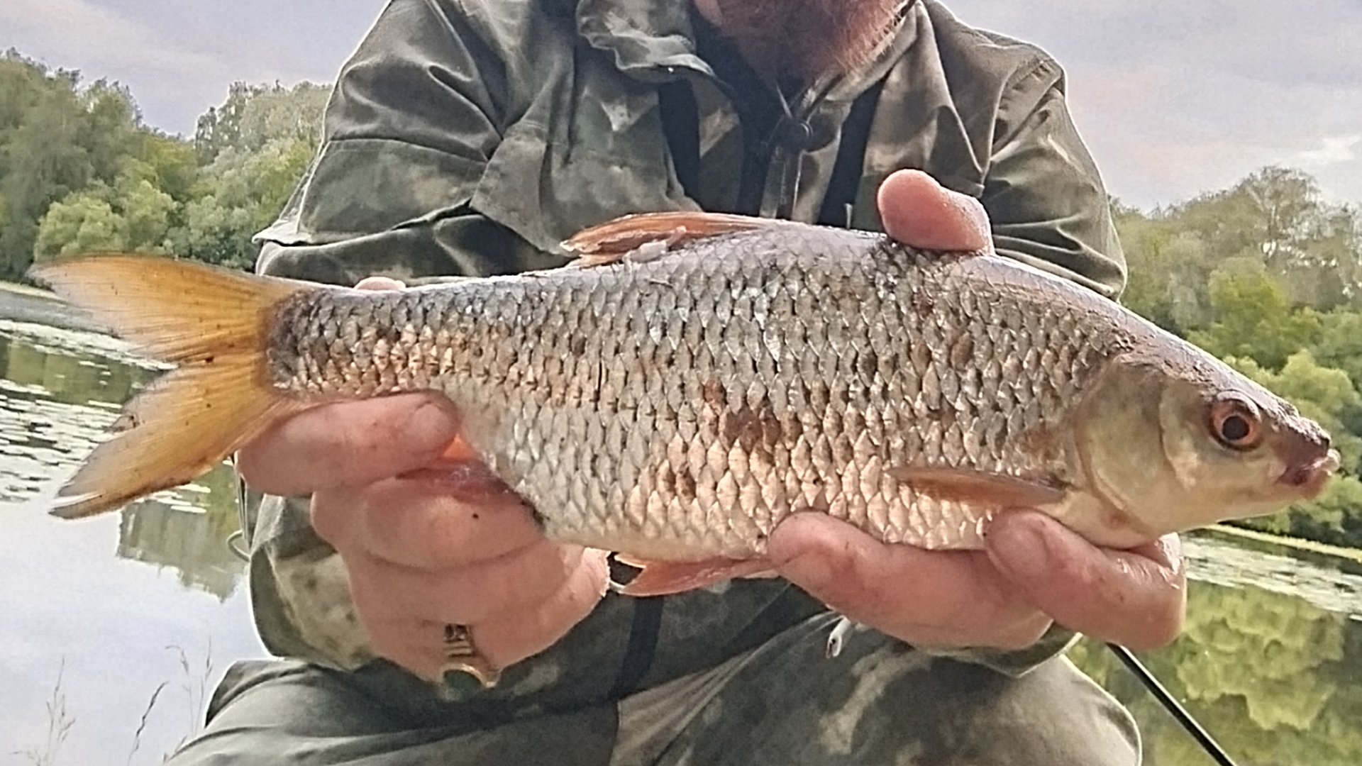 ФИДЕР ПОСТАВИЛ РЫБУ НА ТОЧКУ И ПОШЛИ ЗАГИБЫ