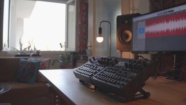 Stefan Torto - Sunbeams (live)