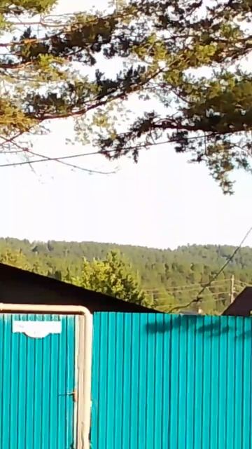 Далекие горы за забором смотреть онлайн