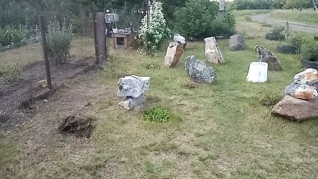 наш огород. как от солнца защищаемся. новая клумба.