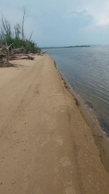 Куда идём мы с Пятачком...