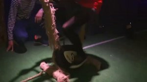 День рождения Софа 8 лет