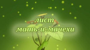 Лист мать-и-мачехи