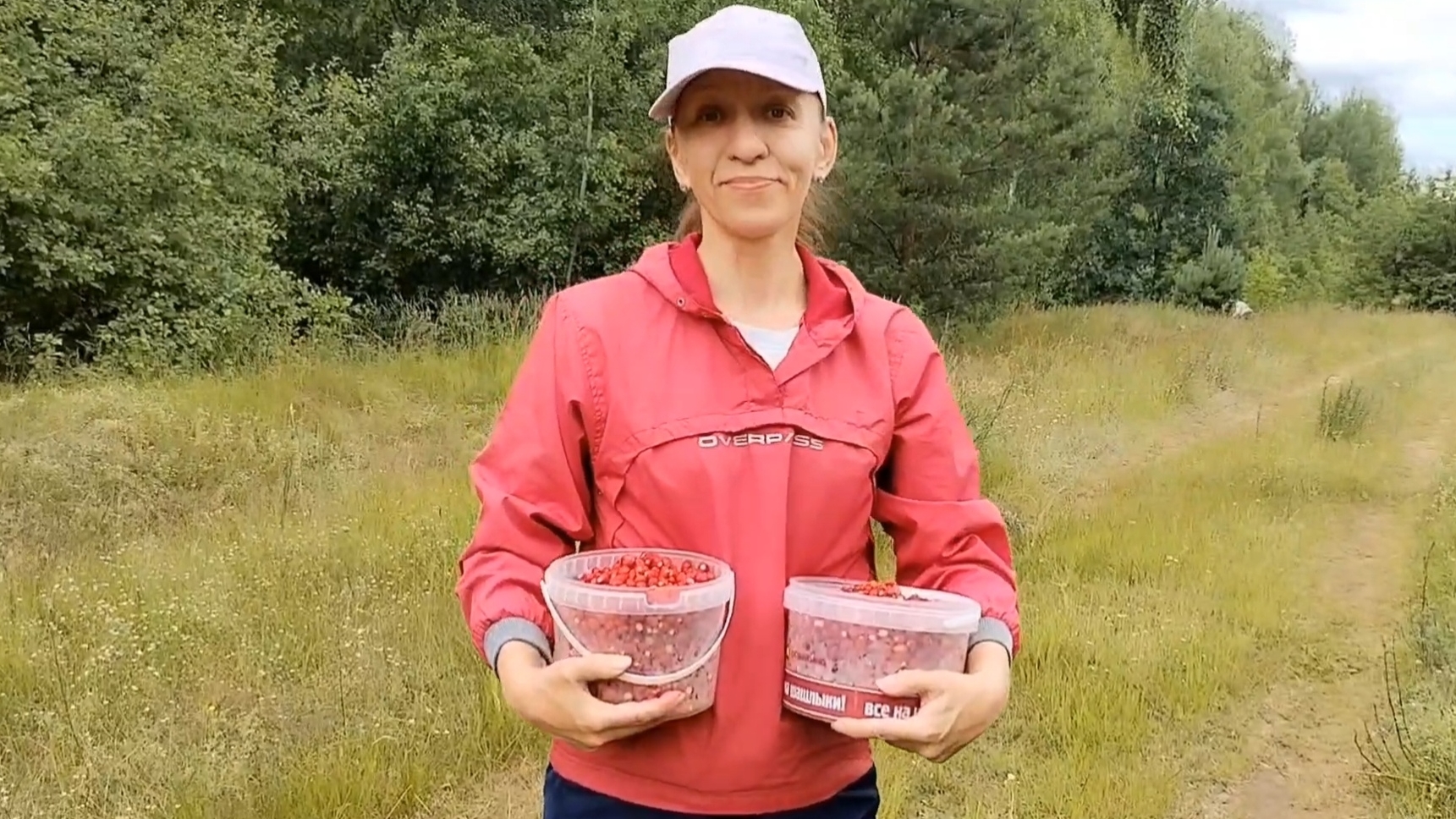 И снова мы идём собирать землянику. 22-06-2025 смотреть онлайн