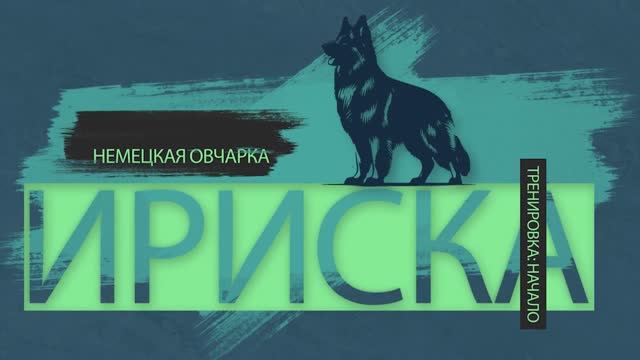 250625 Ириска Начало