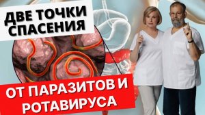 ⚡️ ДВЕ ТОЧКИ ПРОТИВ ЛЕТНИХ ИНФЕКЦИЙ И ПАРАЗИТОВ