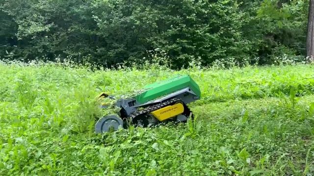 Испытания Веном Саранча на территории МБУК «Одинцовского парка культуры, спорта и отдыха»