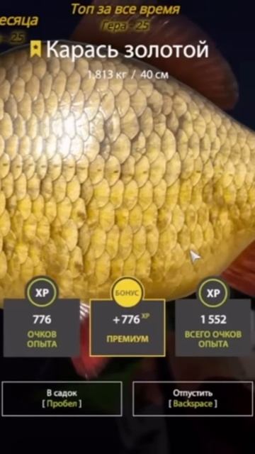 Когда товарищи сказал что на этой точке есть лещи #рыбалка #русскаярыбалка4 #fishing #рыба #rr4