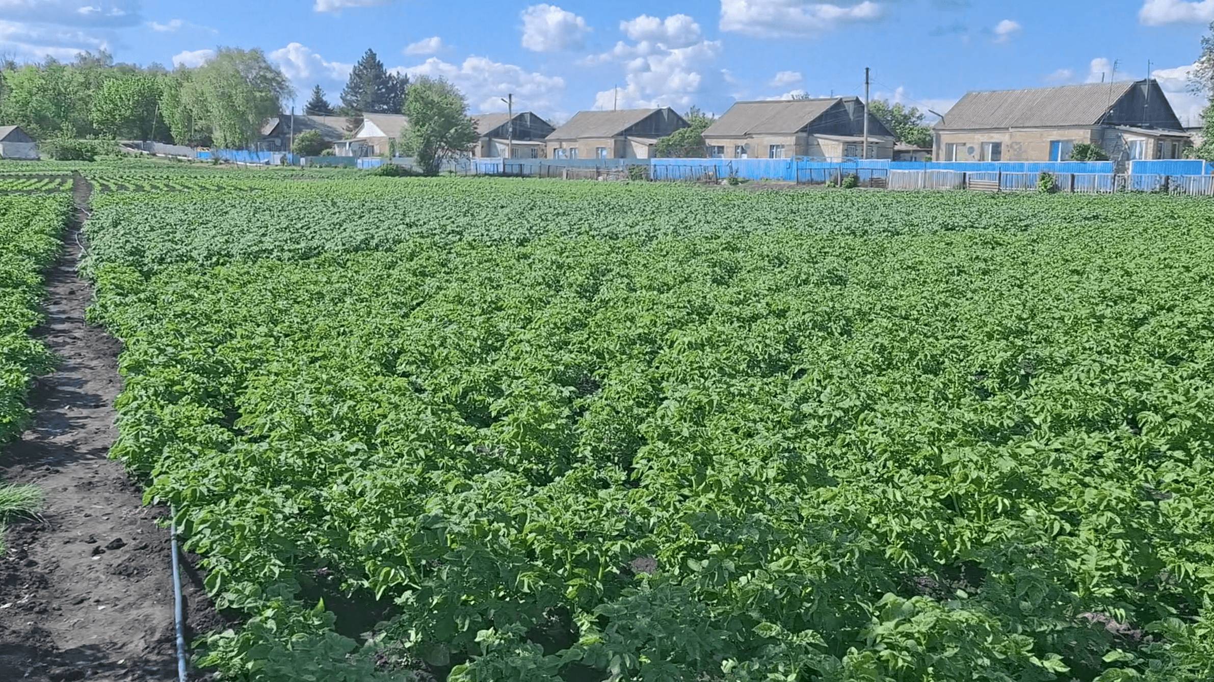 Был у родителей в гостях! Как люди живут в ЛНР? смотреть онлайн