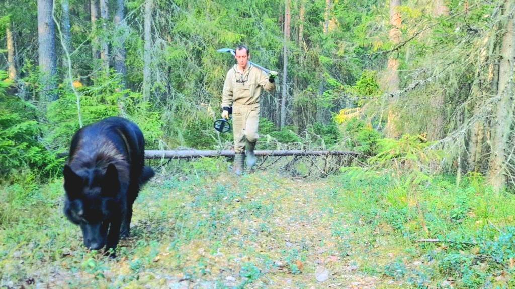 Наследие мелиораторов в очередной раз порадовало!!! Пешая прогулка по красивым местам карелии!! смотреть онлайн