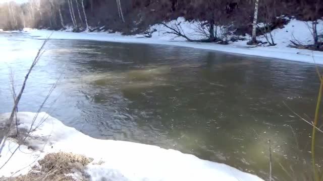 Это ЧУДО! В Новый год с сюжетом о весенней прогулке. Не прошло и года. Благодарю Господа за друзей.