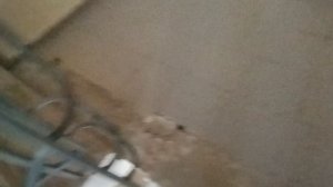 лифт щлз экомакс 2020. Адрес: Московская область. улица Святослава Рихтера, 6. 6 подъезд