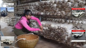 Дорис 32. Дорис собирает грибы в теплице на ферме