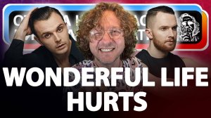 Откуда ноты растут в Wonderful Life группы Hurts?