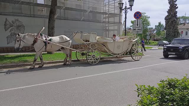 СУЗДАЛЬСКОЕ ТАКСИ смотреть онлайн