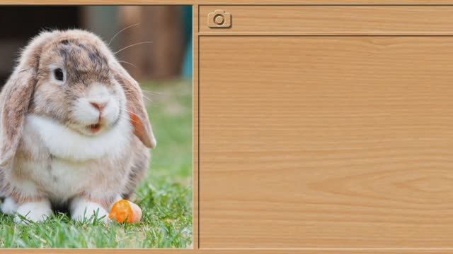 Мультфильмы для детей . Мультики для малышей. Пазлы.Детям, Малышам смотреть онлайн