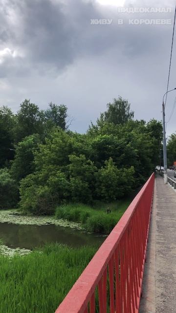 Наш "пляж" с Шапкиного моста. смотреть онлайн
