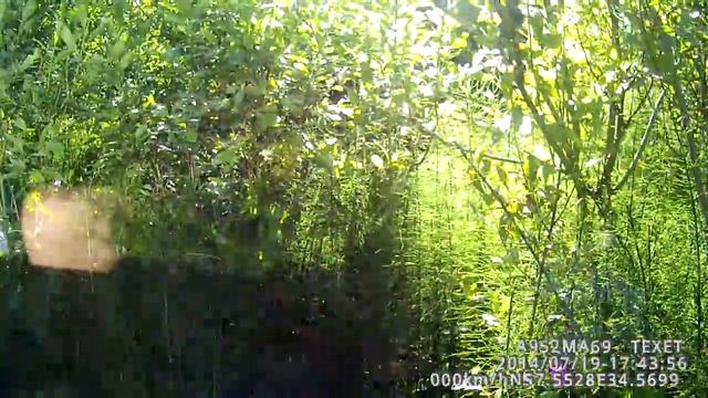 очередной прокол колеса